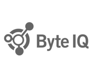 Byte IQ logo in greyscale